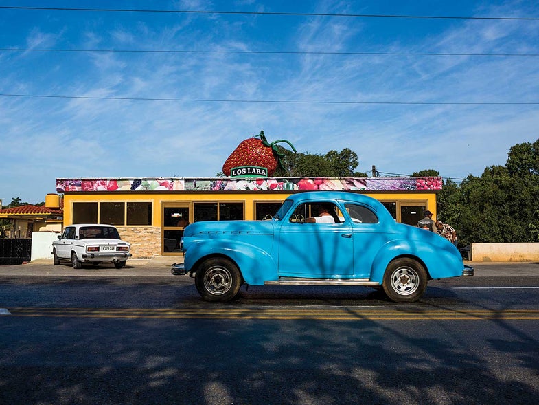 strawberries in cuba