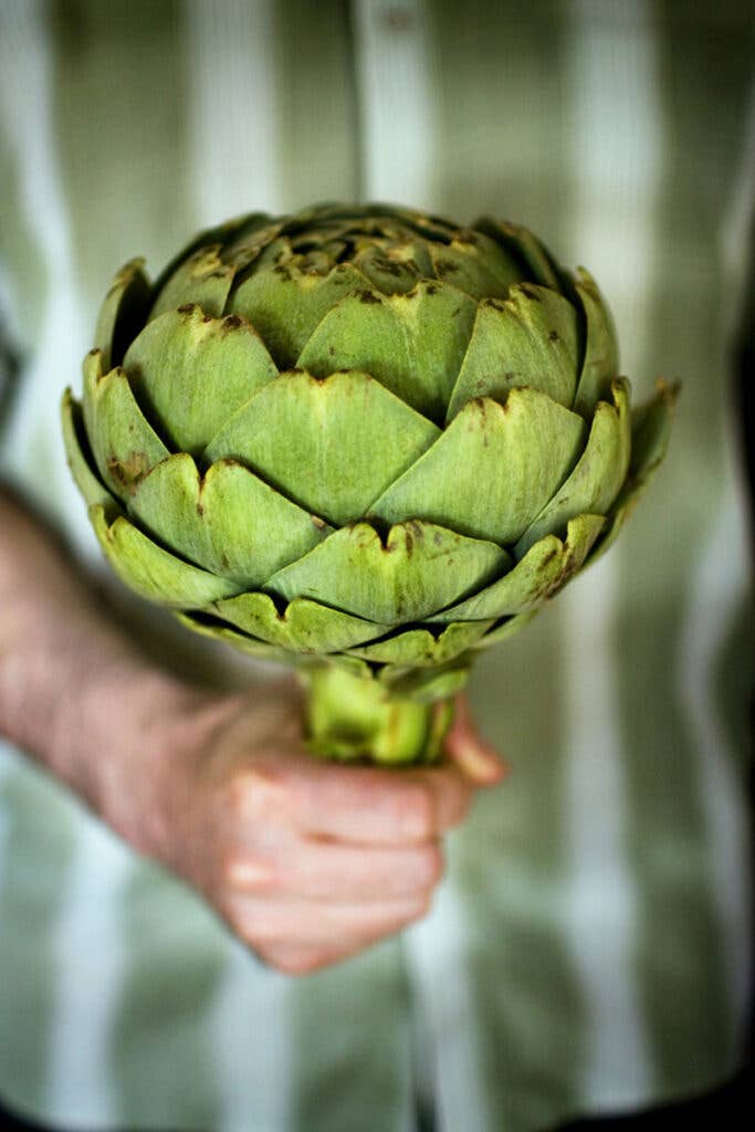 httpswww.saveur.comsitessaveur.comfilesimport2010images2010-023546282-alpers_giant_artichoke2.jpg