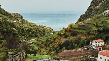 Wild Landscapes and Wilder Wines on the Island of Madeira
