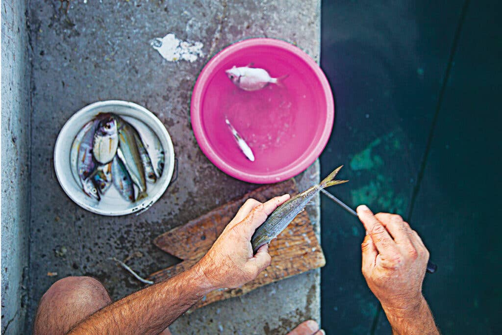 httpswww.saveur.comsitessaveur.comfilesimport20142014-03scenes-from-the-dalamatian-coast-cleaning-fish-1200&#215;800-i164.jpg