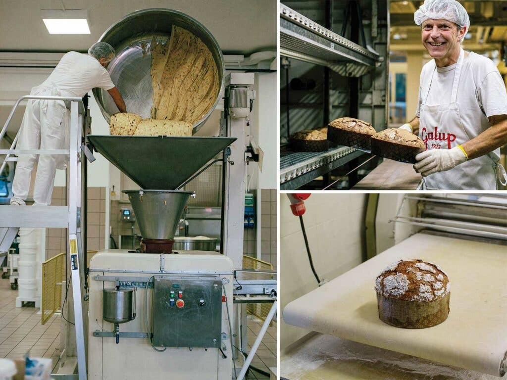 panettone dough