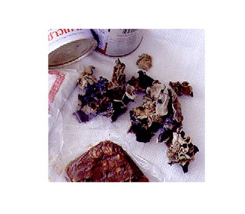 httpswww.saveur.comsitessaveur.comfilesimport2008images2008-04634-13_wood_ear_mushrooms_11_480.jpg