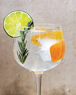 Gin and Tonic Recipes