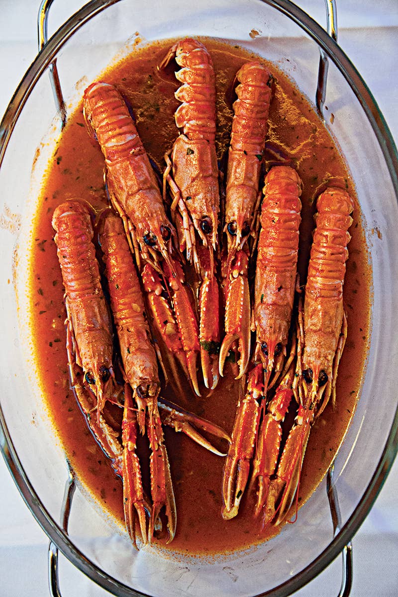 Langoustines in Tomato, Garlic, and Wine Sauce