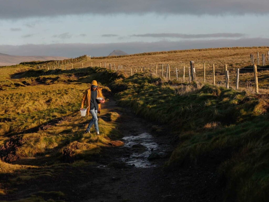 Ireland, Foraging, Dingle