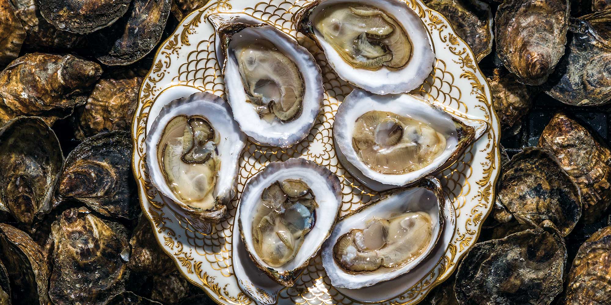 Oysters Are Alive When Served