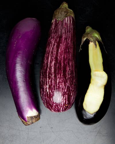 Bitter Truths: Why You Shouldn’t Sweat Eggplant
