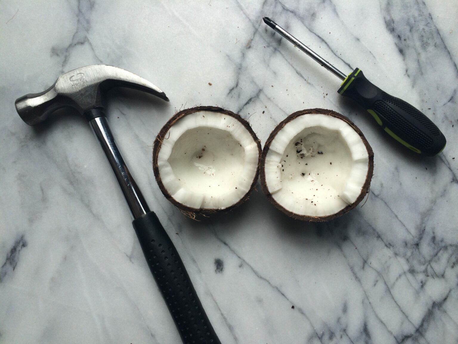 how to crack a coconut in ancestors