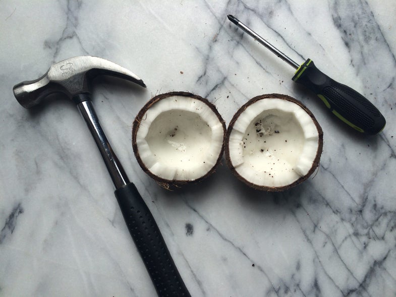 Cracking Coconuts