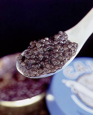 httpswww.saveur.comsitessaveur.comfilesimport2009images2009-02634-24_caviar-sevruga_480.jpg