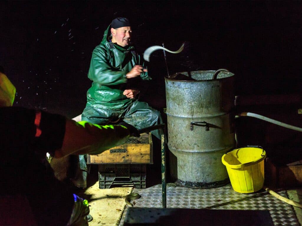 English Eel Fisherman