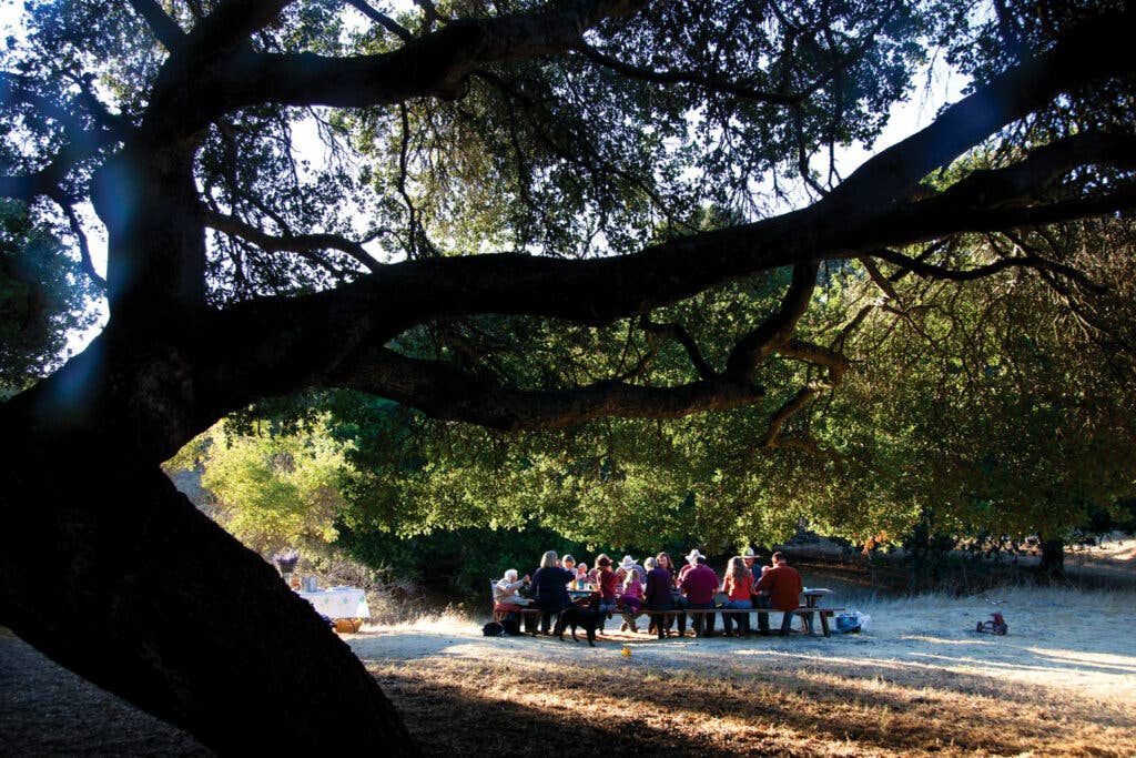 Rancho San Julian Saveur