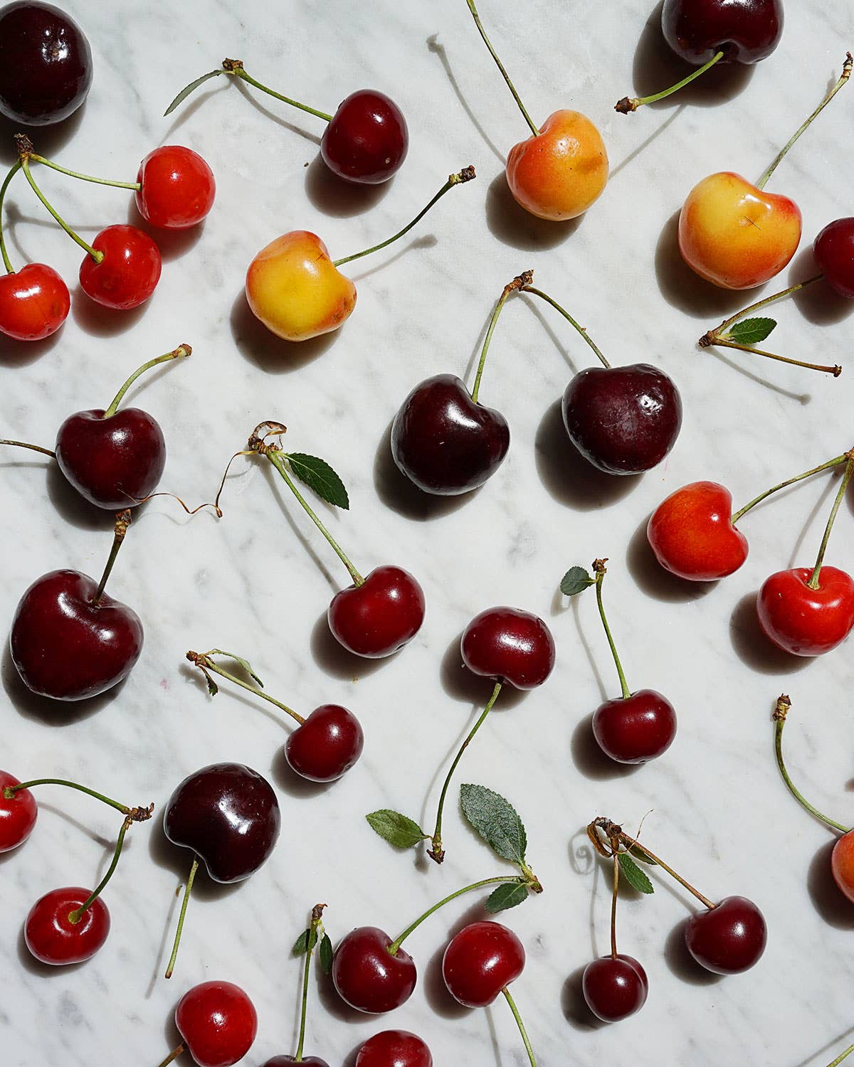 All the Crazy Things Farmers Do to Bring You Their Cherry Crop