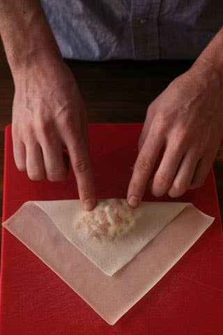httpswww.saveur.comsitessaveur.comfilesimport2008images2008-04634-spring_roll_2_480.jpg