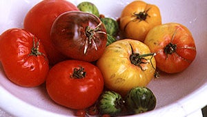 Tips For Buying Tomatoes