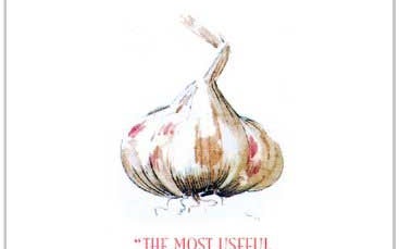 Roast Chicken and Other Stories: A Recipe Book, by Simon Hopkinson