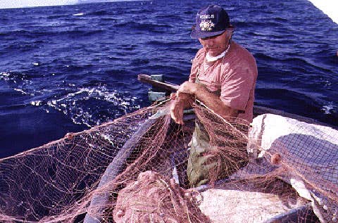 httpswww.saveur.comsitessaveur.comfilesimport2007images2007-1214_bouillabasse_1.jpg httpswww.saveur.comsitessaveur.comfilesimport2007images2007-1214_bouillabasse_1.jpg