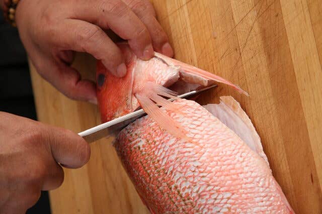 httpswww.saveur.comsitessaveur.comfilesimport2008images2008-04634-112_morimoto_knives_4.jpg