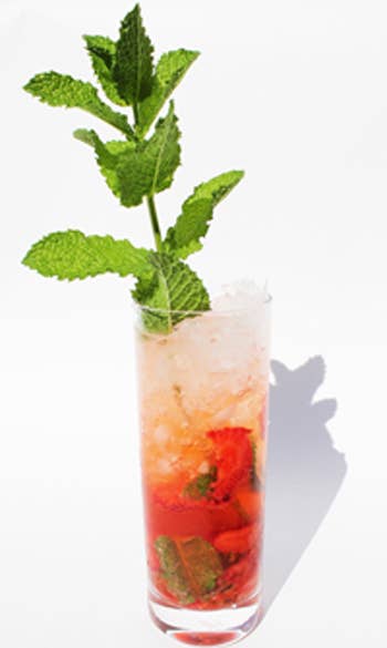 httpswww.saveur.comsitessaveur.comfilesimport2011images2011-127-StrawberryMojito_400.jpg