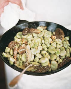 Morels and Broad Beans