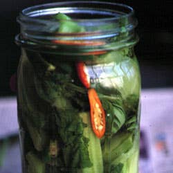 httpswww.saveur.comsitessaveur.comfilesimport2007images2007-01126-05_pickled_mustard_greens_250.jpg