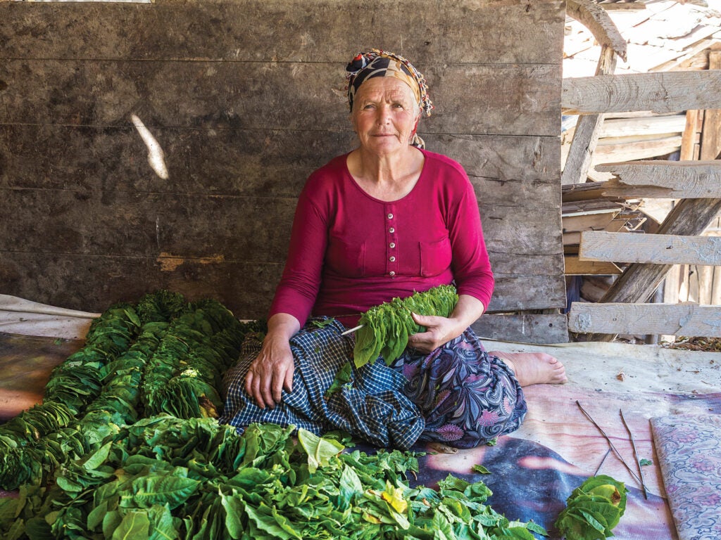 Nefise Yildirim; Canik Mountains, Turkey