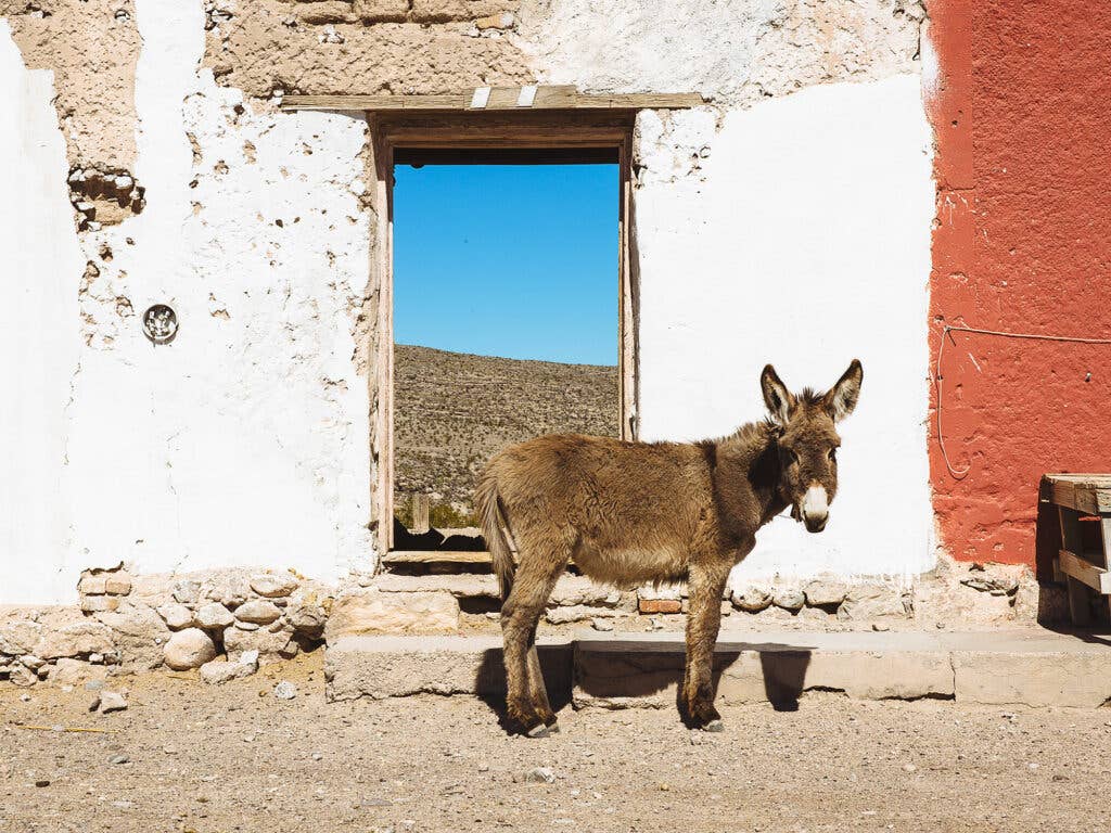 boquillas