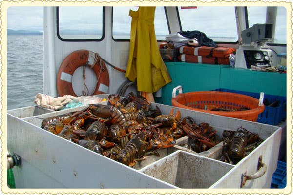 httpswww.saveur.comsitessaveur.comfilesimport2011images2011-087-lobster-postcard-600.jpg httpswww.saveur.comsitessaveur.comfilesimport2011images2011-087-lobster-postcard-600.jpg