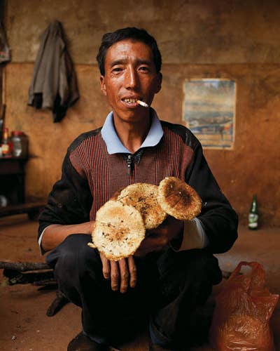 Season of Plenty: Yunnan’s Mushroom Harvest
