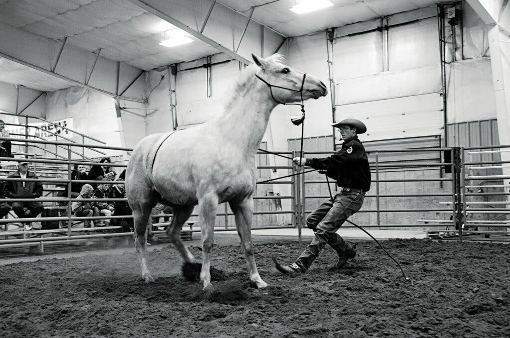 httpswww.saveur.comsitessaveur.comfilesimport2013images2013-077-kansas_roping-horse_1500x994.jpg