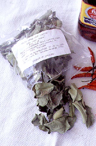 httpswww.saveur.comsitessaveur.comfilesimport2008images2008-04634-13_kaffir_lime_leaves_2_480.jpg
