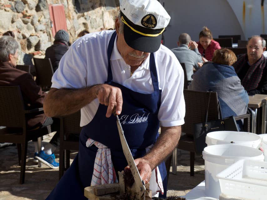 Urchin Cutter