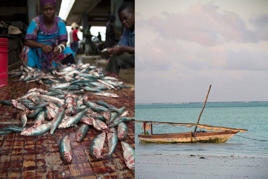 Fishing in Tanzania