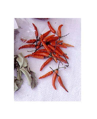 httpswww.saveur.comsitessaveur.comfilesimport2008images2008-04634-13_thai_chiles_3_480.jpg