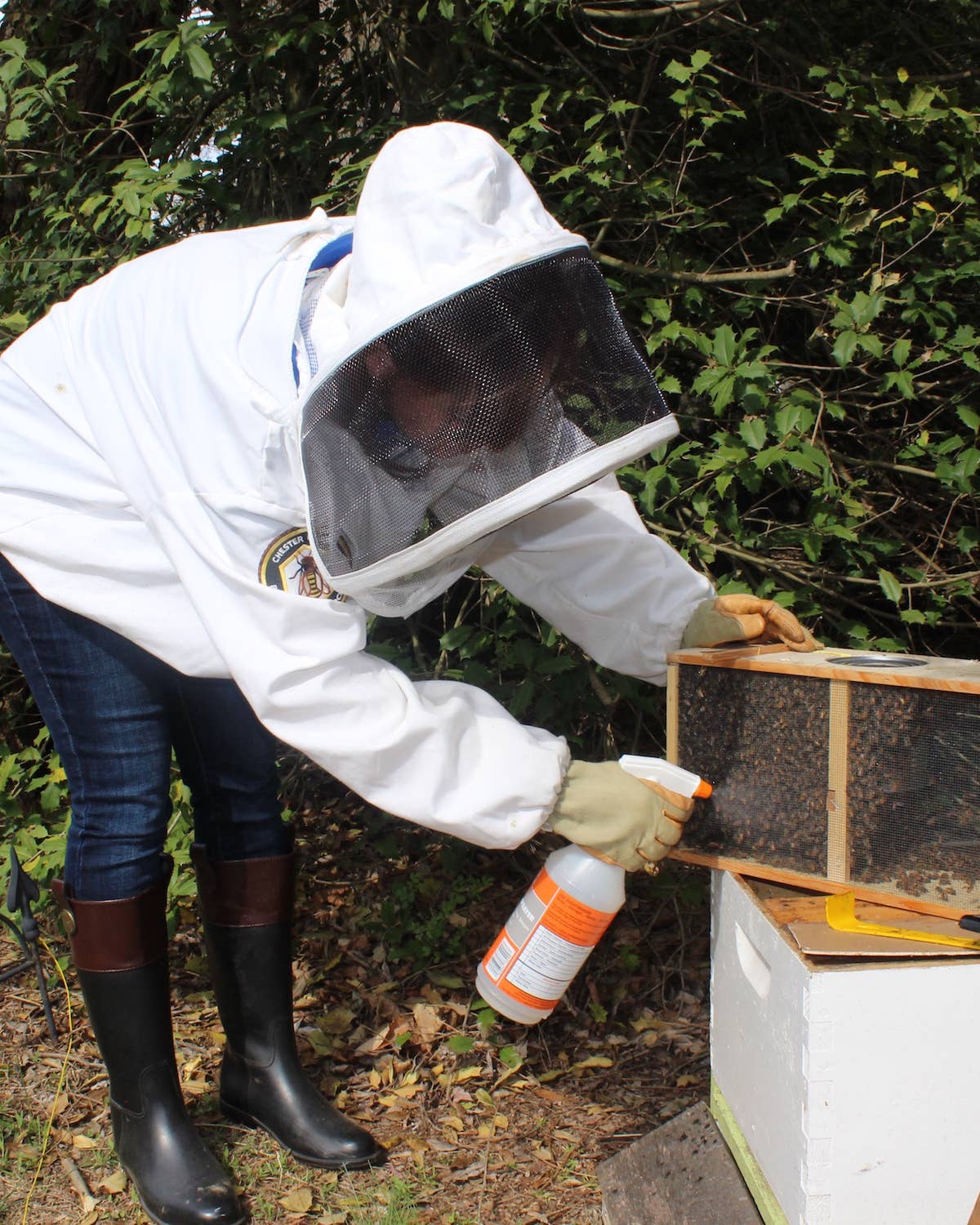 Diary of an Accidental Beekeeper
