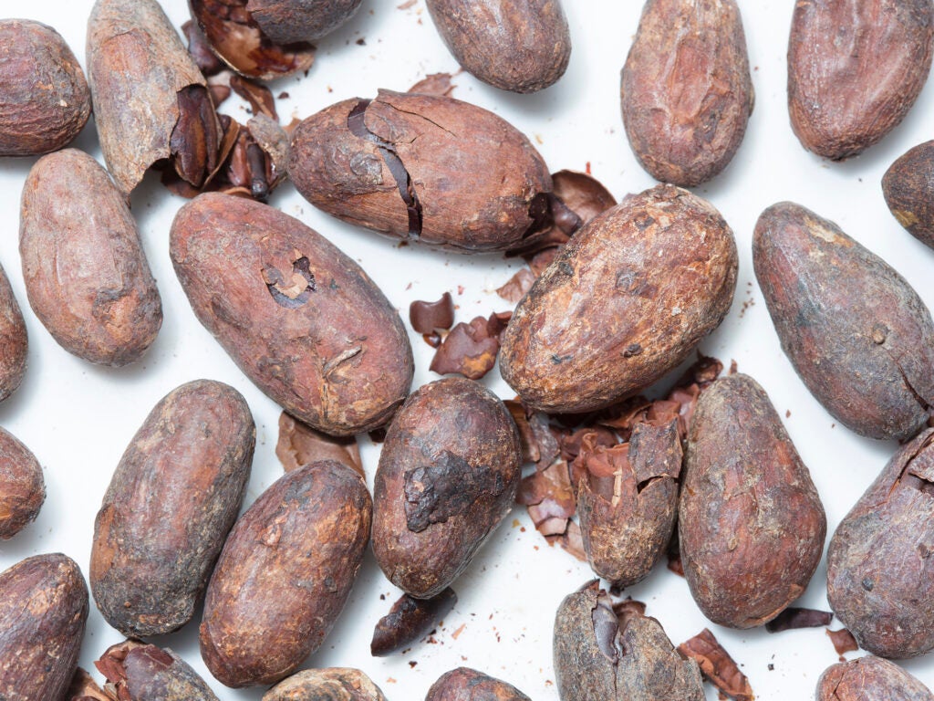 Cacao Beans