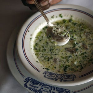 Oyster stew