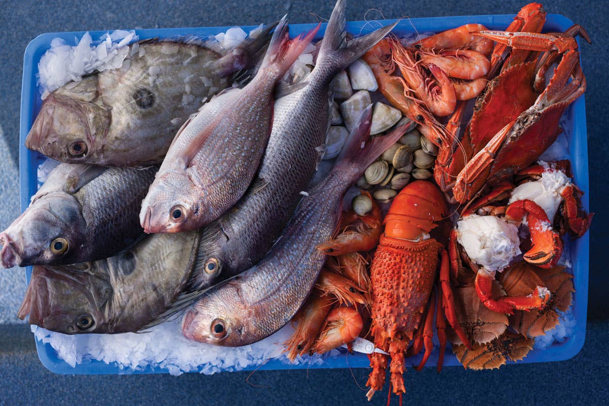 The World of Fish Markets