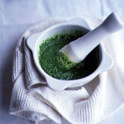 httpswww.saveur.comsitessaveur.comfilesimport2007images2007-03125-07_Pesto_250.jpg