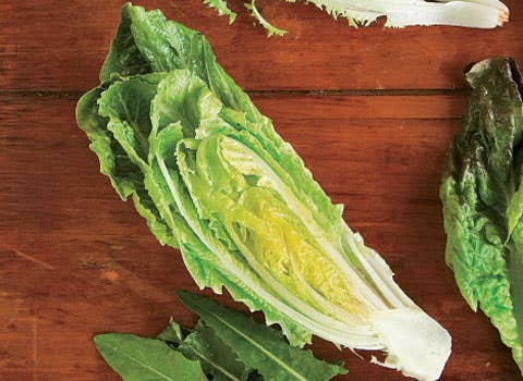 httpswww.saveur.comsitessaveur.comfilesimport2008images2008-03634-102_ultimate_greens_guide_8_480.jpg