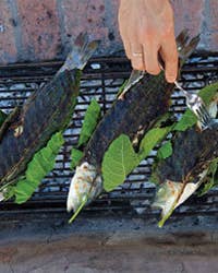 Menu: An Early Summer Dinner On The Grill