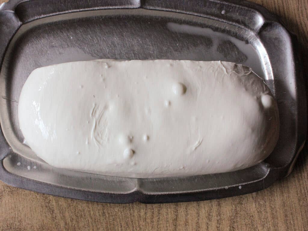 Fresh mozzarella