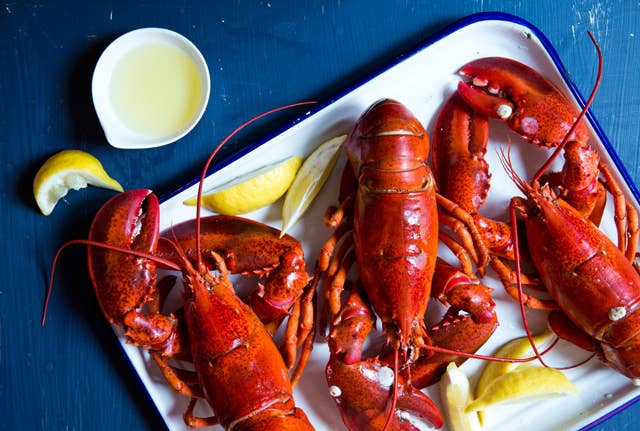 httpswww.saveur.comsitessaveur.comfilesimport2014article_boiled-lobster_640x431.jpg