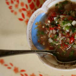 Fresh and Spicy Salsas