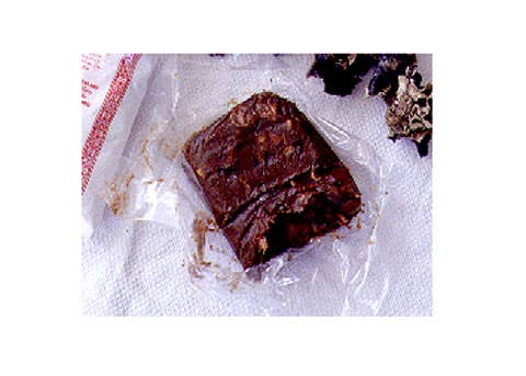 httpswww.saveur.comsitessaveur.comfilesimport2008images2008-04634-13_tamarind_10_480.jpg