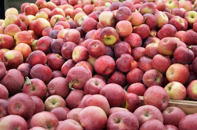 Tasting Notes: 18 Varieties of Apple