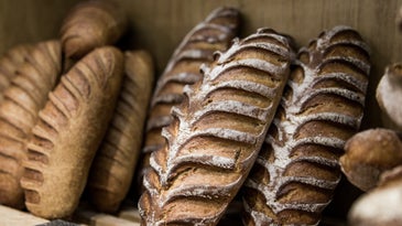 Baking With the Bread Whisperers of Paris
