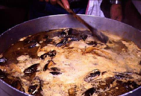 httpswww.saveur.comsitessaveur.comfilesimport2007images2007-1214_bouillabasse_10.jpg httpswww.saveur.comsitessaveur.comfilesimport2007images2007-1214_bouillabasse_10.jpg