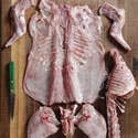 How To Butcher A Rabbit