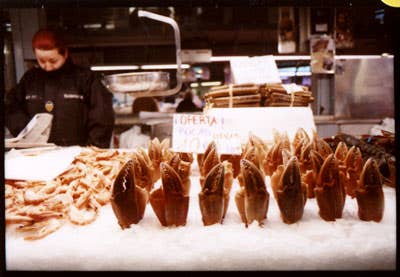 httpswww.saveur.comsitessaveur.comfilesimport2010images2010-127-SV85-Valencia-Market-Claws-400.jpg
